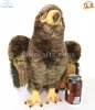 Soft Toy Bird of Prey Golden Eagle by Faithful Friends (48cm)L FGE03