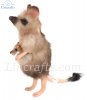 Marsupial Mouse by Hansa (19cm) 7452