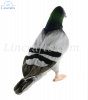 Soft Toy Pigeon by Hansa (29cm) 6299