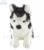 Soft Toy Dog, Husky Pup by Hansa (19cm.H) 6969