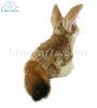 Soft Toy Fennec Fox by Living Nature (28cm)  AN716