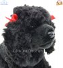 Soft Toy Dog, Black Poodle by Faithful Friends (23cm)H FBP03