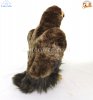 Soft Toy Bird of Prey Golden Eagle by Faithful Friends (48cm)L FGE03