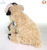 Soft Toy Black Faced Sheep by Faithful Friends (23cm)H FHS03