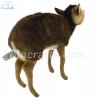Soft Toy Muntjac Deer Baby by Hansa (28cm.L) 8024
