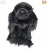 Soft Toy Cocker Spaniel (Black) by Faithful Friends (25cm)H FCS04